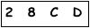salt-41C309B4