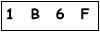salt-29B24037