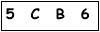 salt-EB19FE9E