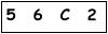 salt-56FCD55F