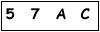salt-6FDC9A0A