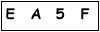 salt-CF9C4682