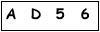 salt-5E7D0670