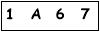 salt-2981C176