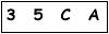 salt-FA5C5141