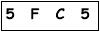 salt-5B6B2966