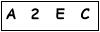 salt-5B251126