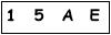 salt-487A3571