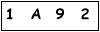 salt-B7EFDD55